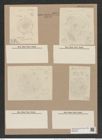 Stephanopyxis turris v. intermedia (intermedia pr. sp. v. minor) Grun. (de-Toni-Nr.: Genus 187, Species 4624) Zeichnungen Sammlung Grunow Nr. 8251 (NHMW-BOT-W0377646)
